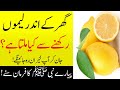 گھر میں لیموں رکھنے سے کیا معجزہ ہوتا ہے فرمان نبوی سن لیں | The Beneficial Benefits of Lemons