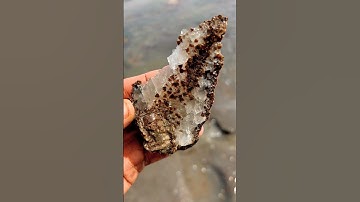 Delicate Calcite Inside HUGE Rock!