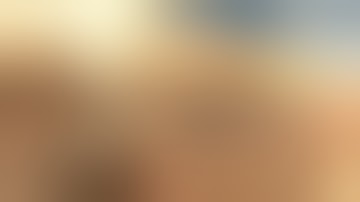 Cat Dissection Internal Organs