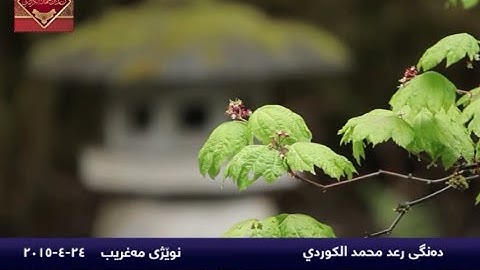 رعـد بـن محمد الکردي ۩ قراءة جميلة جداً لما تيسر من سورة المنافقون*صلاة المغرب 24-4-2015.