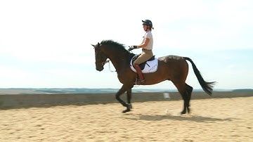 Piggy French shows you how to ride a three loop serpentine