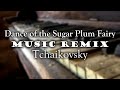 Dance of the sugar plum fairy  tchaikovsky  remix