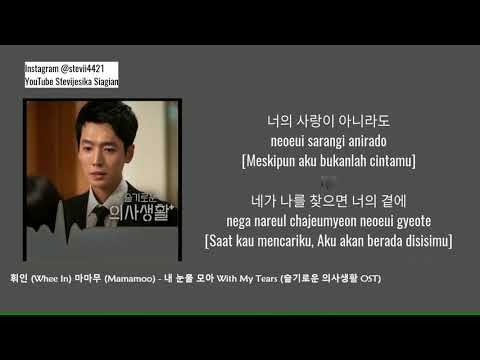 휘인(Whee In)마마무(Mamamoo)~내 눈물 모아With My Tears슬기로운 의사생활 OST(Tiffani Afifa Cover)(Lirik dan Terjemahan)