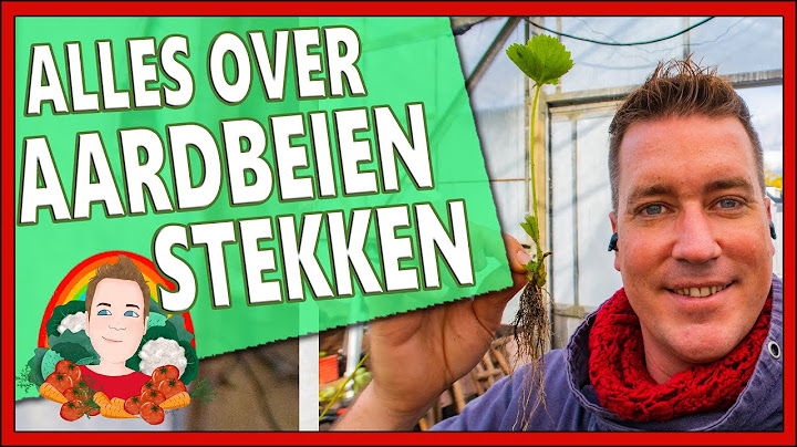 ALLES OVER AARDBEIEN STEKKEN | Moestuin vlog 156 | Hoe diep poot je aardbeien planten