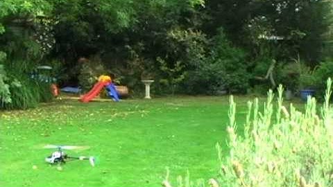 Belt CP Garden - hover and crash