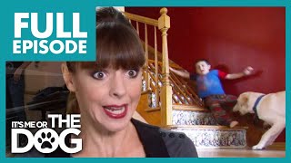 Dangerous Dog Causes Trouble And Attacks Kids Full Episode Its Me Or The Dog
