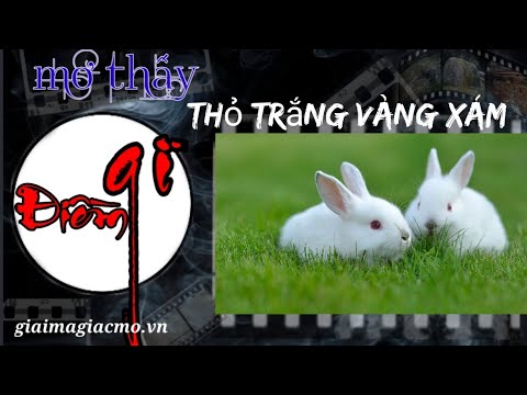 Video: Tại sao một giấc mơ thỏ trong giấc mơ - xám, trắng, thỏ