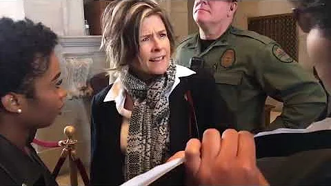 Rep. Terri Lynn Weaver tells protesters at Capitol...
