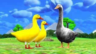 Download lagu Heang Pailin - #junior sadananda