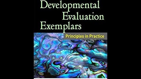 The 8 Principles of Developmental Evaluation Exemplified