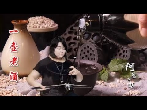 大年初二，阿蕾二胡演奏《一壶老酒》经典老歌，祝大家牛年喜事多