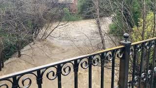 High water levels at Napa Creek