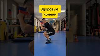 Правильные приседания ,для здоровой спины #спорт #shorts #фитнес #бокс #приседание