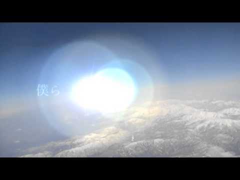 the flag (cover)