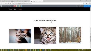 How to change your theme on the Sungura website editor