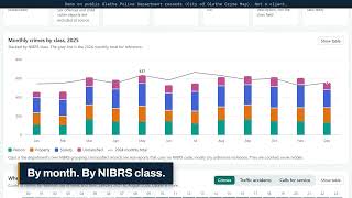 Power BI crime statistics dashboard for a police department (60 second demo)