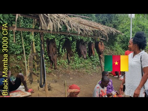 Cameroon Road Trip - Bushmeat experience, Bafoussam Bansoa, Bamoun kingdom,  Foumban  - Part 1