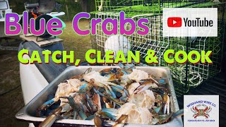 Catch Clean and Cook St. John’s River blue crabs ￼