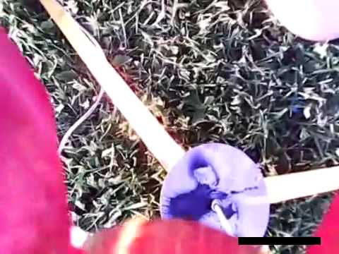 Model rocket launch with 808 keychain camera