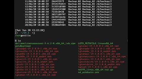 Upgrading NetWorker on Linux from 19 2 to 19 3
