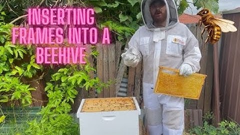 Inserting frames into a beehive, tips and tricks