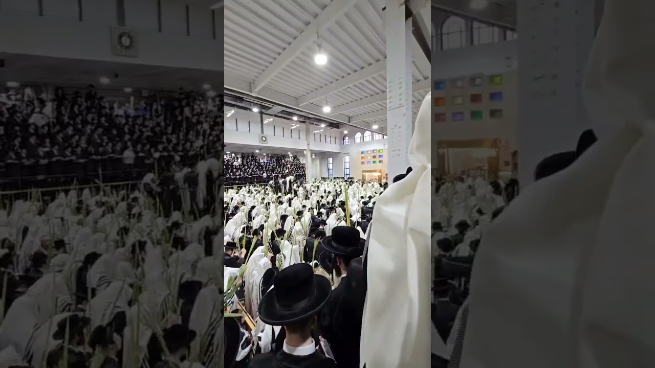 Hoshana Rabbah in Satmar Williamsburg 2025 סאטמאר הושענא רבה תשפ"ו