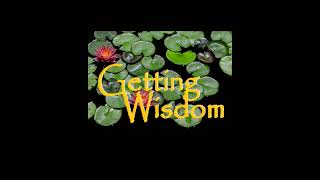 Getting Wisdom 16 by Getting Wisdom 5 views 9 months ago 15 minutes