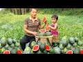 Harvesting Watermelon Fruit Garden goes to the market sell - Cooking l Hanh Free Life