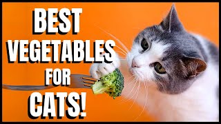 Best Vegetables for Cats