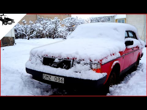 Video: Hur Man Har Kul På Vintern