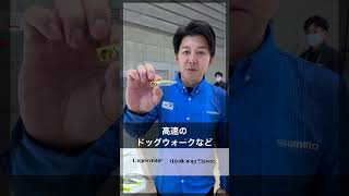 【ドッグウォークに特化！】ライゲン66F ウォーキングスペック　佐々一真