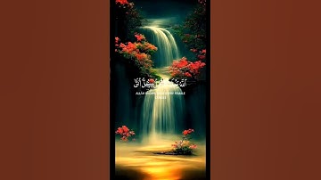 الله يعلم ما تحمل كل أنثى | عبدالباسط عبدالصمد | سورة الرعد