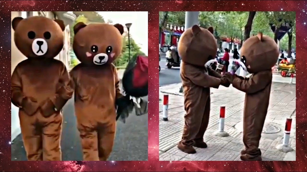 🐻💖 ПАРА МИЛЫХ КОРИЧНЕВЫХ МЕДВЕЖАТ 🐻💖 Сouple of cute brown bears 🐻💖 brown bear tik tok YouTube