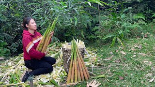 Harvesting rocket shoots, processing and selling at the market - farm life, Trieu Lily