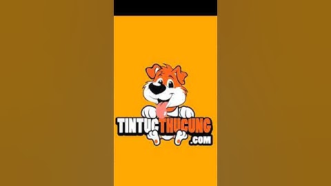 Tin Tức Thú Cưng - Lý do vì sao bạn nên nuôi PET