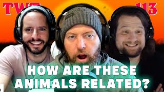 Do All Animals Get Along With Their Relatives? - The Wild Times Ep. 113
