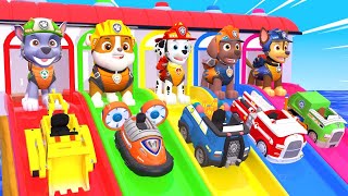 PAW Patrol Guess The Right Door ESCAPE ROOM CHALLENGE ESCAPE ROOM CHALLENGE Animals Cage Game #81