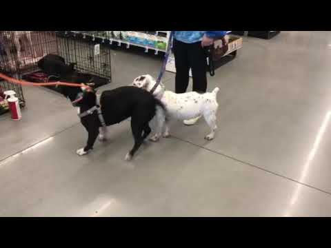 Mia1 - YouTube