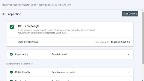 How To Use Google Instant Indexing API To Get Your Web Pages Indexed Instantly In Google