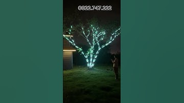 Đèn Led Tiktok 10m đuổi RGB 16 Triệu Màu Nháy Theo Nhạc, Chống Nước, Điều Khiển Remote