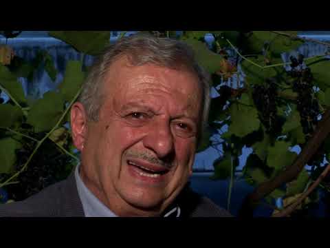 16 შვიდკაცა