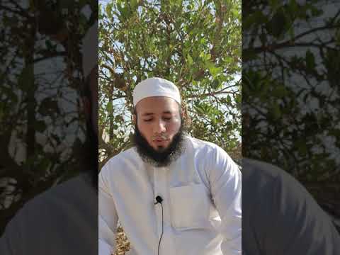 شجرة الليمون في المنام للشيخ أحمد عبد الحافظ