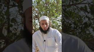 شجرة الليمون في المنام للشيخ أحمد عبد الحافظ