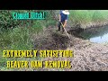 Removing Extremely Problematic Dam In A Ditch #Beaver #Dam