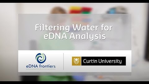 Filtering water for eDNA analysis using peristaltic pumps