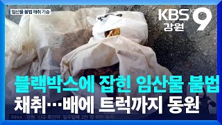 블랙박스에 잡힌 임산물 불법 채취…배에 트럭까지 동원 / KBS  2022.09.21.