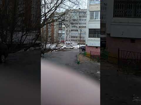 Video: Städer i Tula-regionen: Efremov, Venev, Donskoy