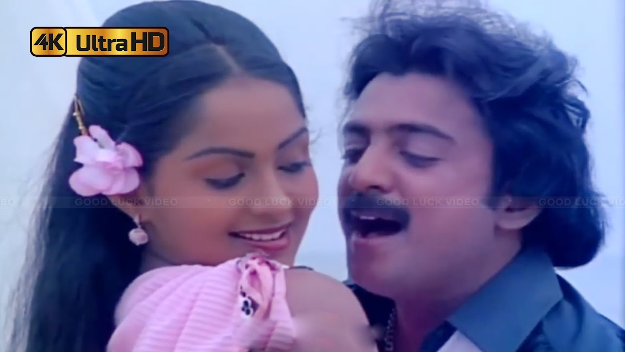 பூ வாடைக்காற்று பாடல் | Poo Vaadaikatru song |  S. Janaki, Krishnachandran .