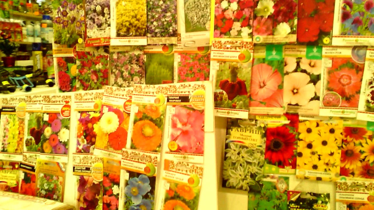 вднх 12 павильон схема. вднх семена какой павильон. павильон № 7 «семена» на вднх. павильон 84 вднх схема. магазин семена на вднх павильон 7.