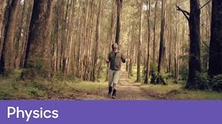 Gravity, size and mass | Physics - Wonders of Life